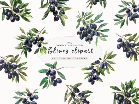 Watercolor Olives Clipart and Olive Branch: A Versatile Art Collection for Creative Projects
